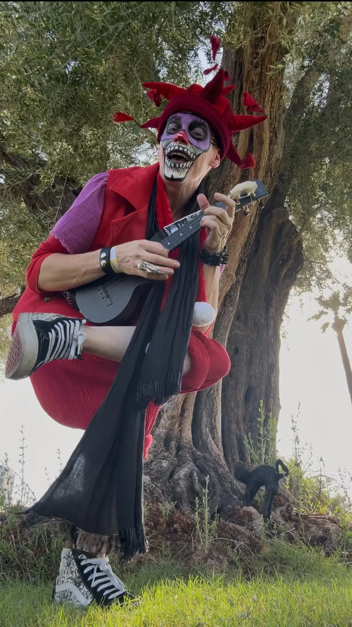 Ryan in full jester motley crouched in the fork of an olive tree, playing a black ukulele, black scarf trailing