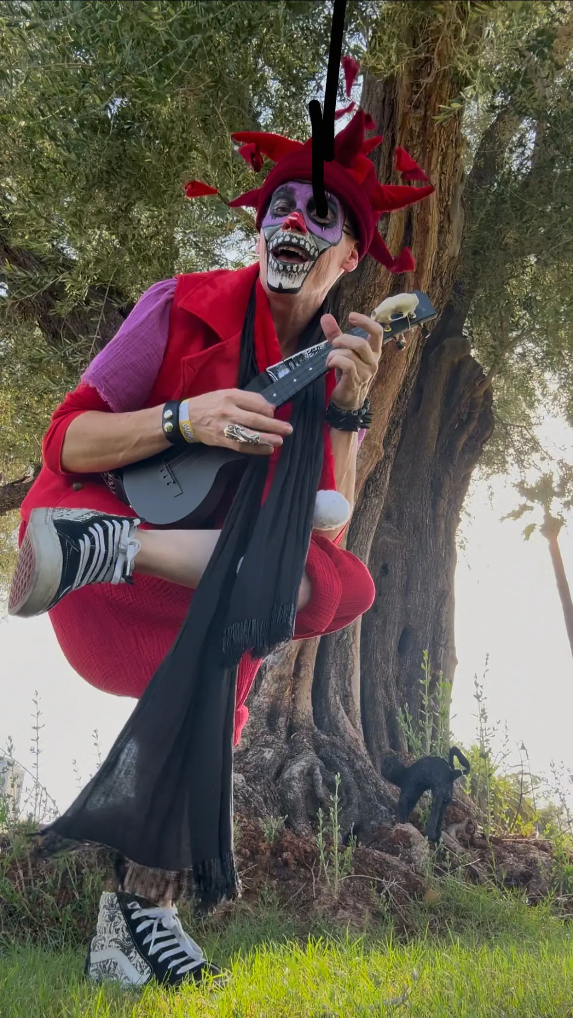 Ryan in full jester motley crouched in the fork of an olive tree, playing a black ukulele, black scarf trailing